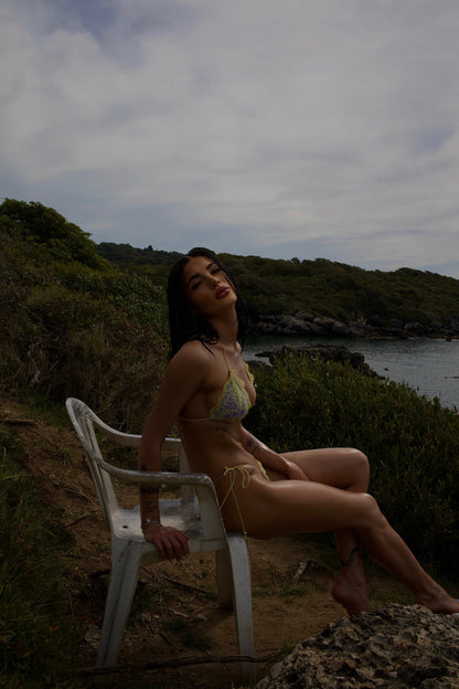 BIKINI BUTTERFLY